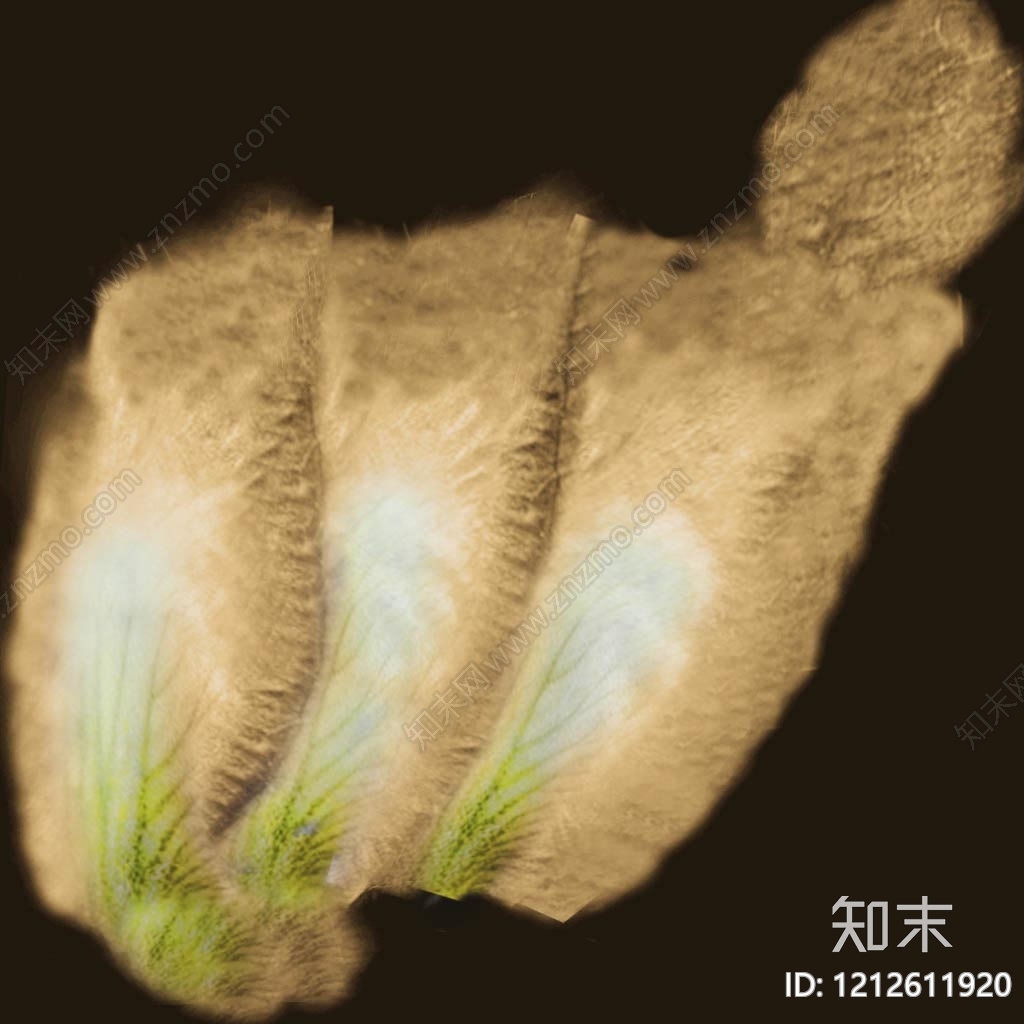动物皮毛贴图下载【ID:1212611920】