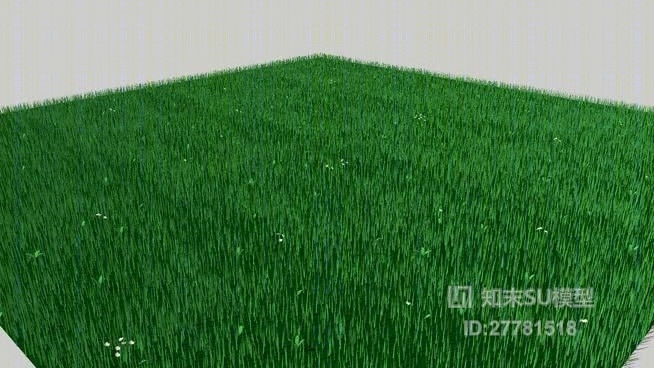 现代花草SU模型草图