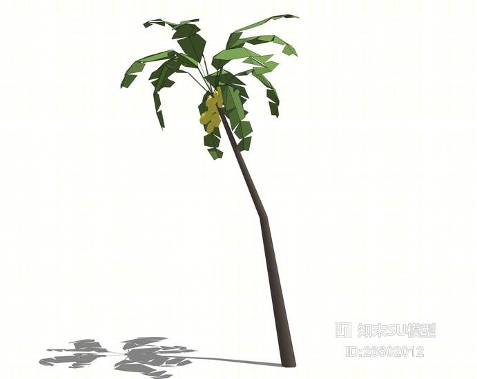 3D棕榈科植物SU模型下载【ID:26602012】