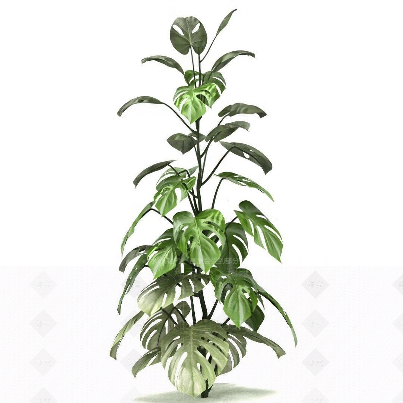 现代绿植3D模型下载【ID:1109366654】