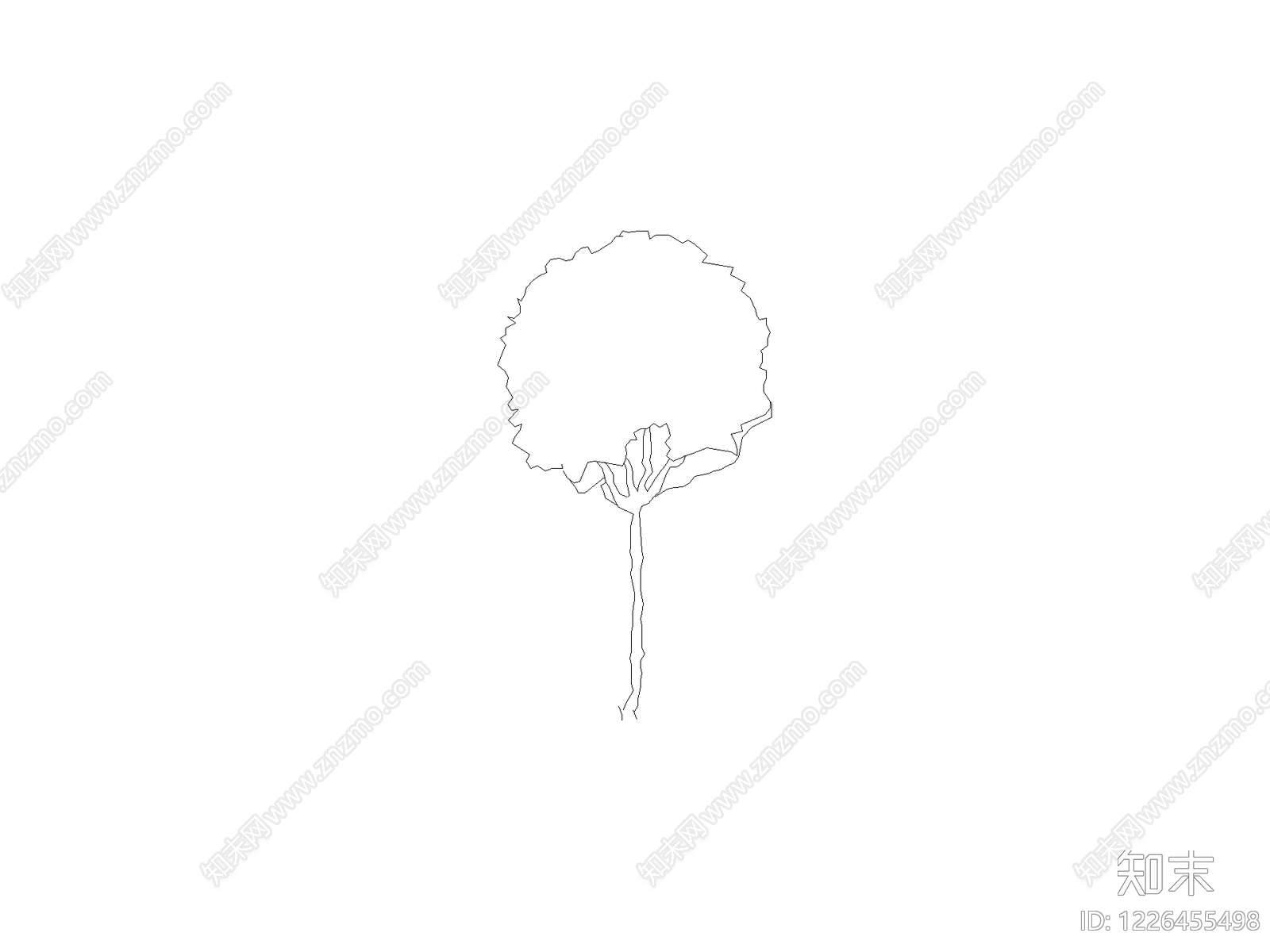 乔木种植CAD图纸