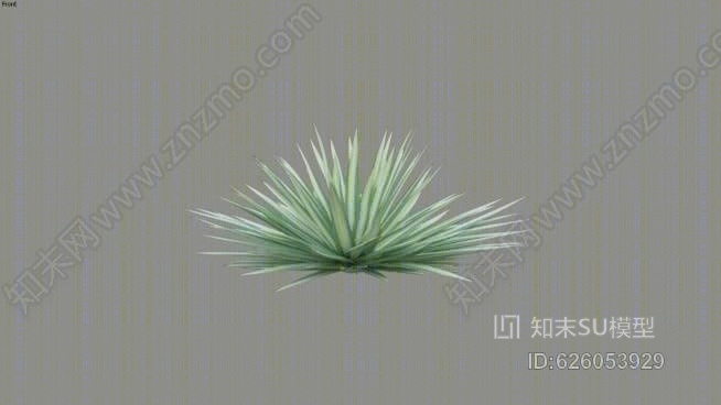 variegated二维cutout丝兰SU模型下载【ID:626053929】