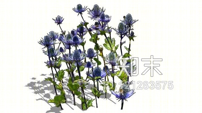 高山杏鲍菇-高山冬青SU模型下载【ID:121283575】