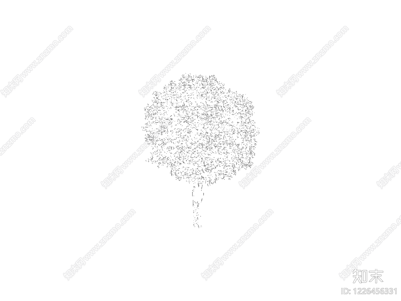 乔木种植CAD图纸