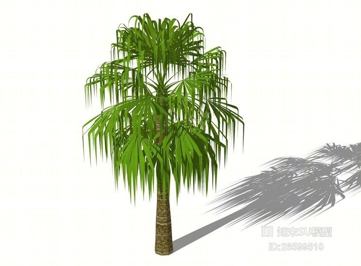 3D棕榈科植物SU模型下载【ID:26599510】