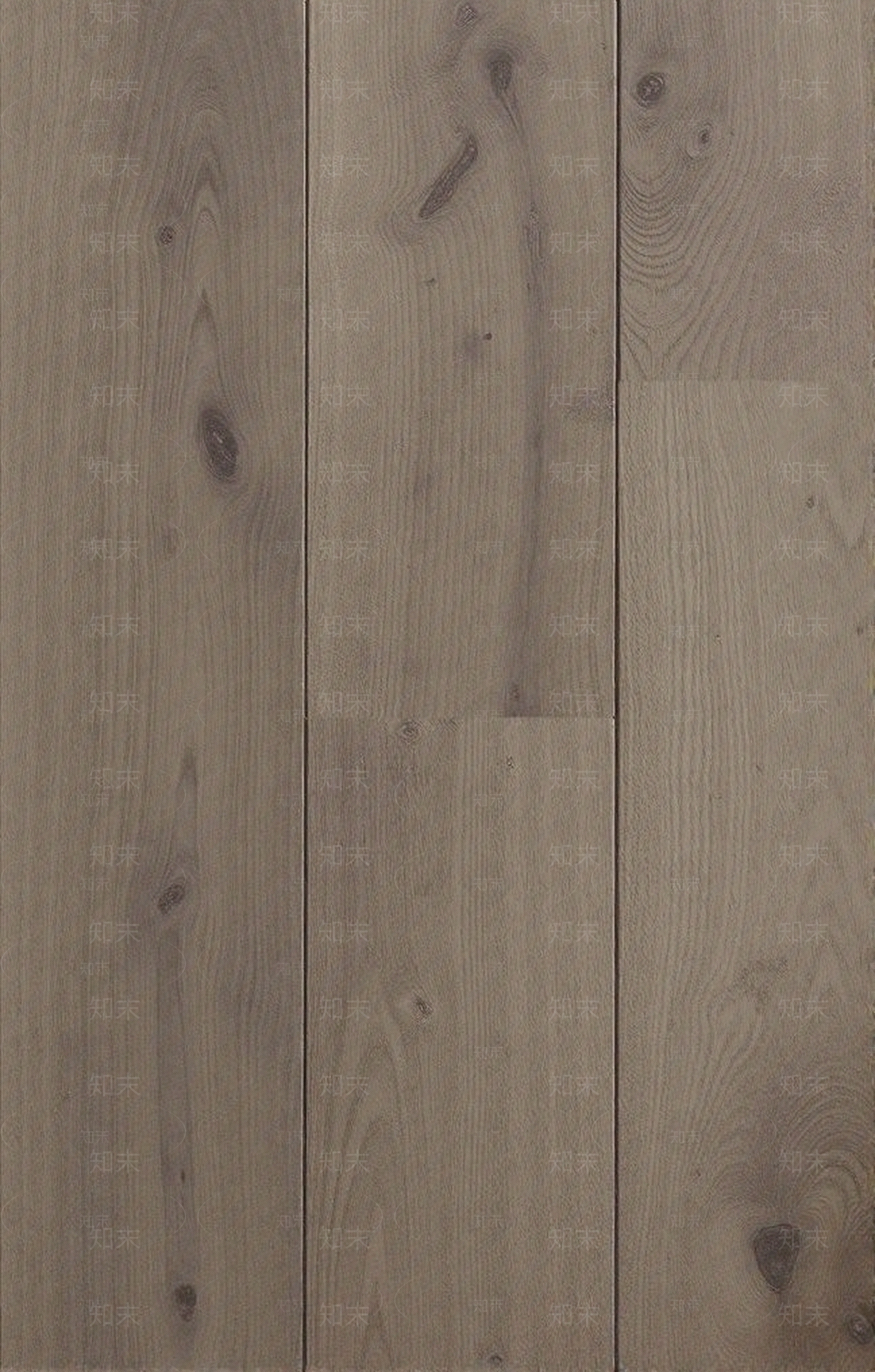 书香门第实木地板贴图下载【ID:1195323435】