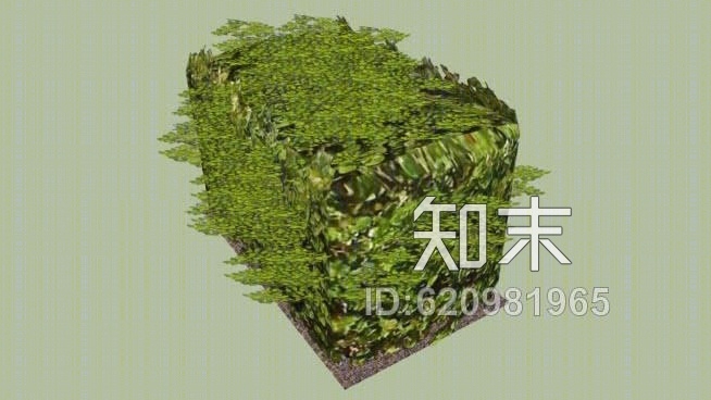 灌丛SU模型下载【ID:620981965】