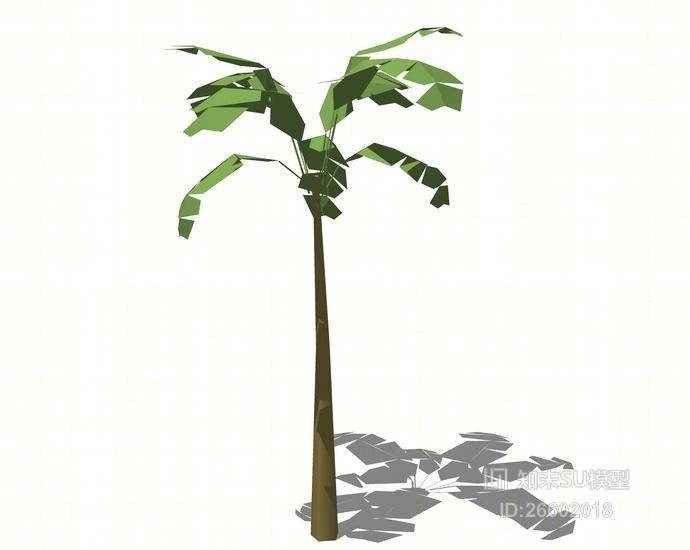 3D棕榈科植物SU模型下载【ID:26602018】