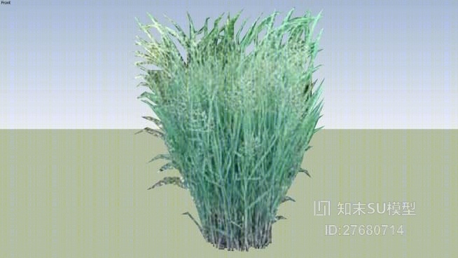 现代植物SU模型下载【ID:27680714】