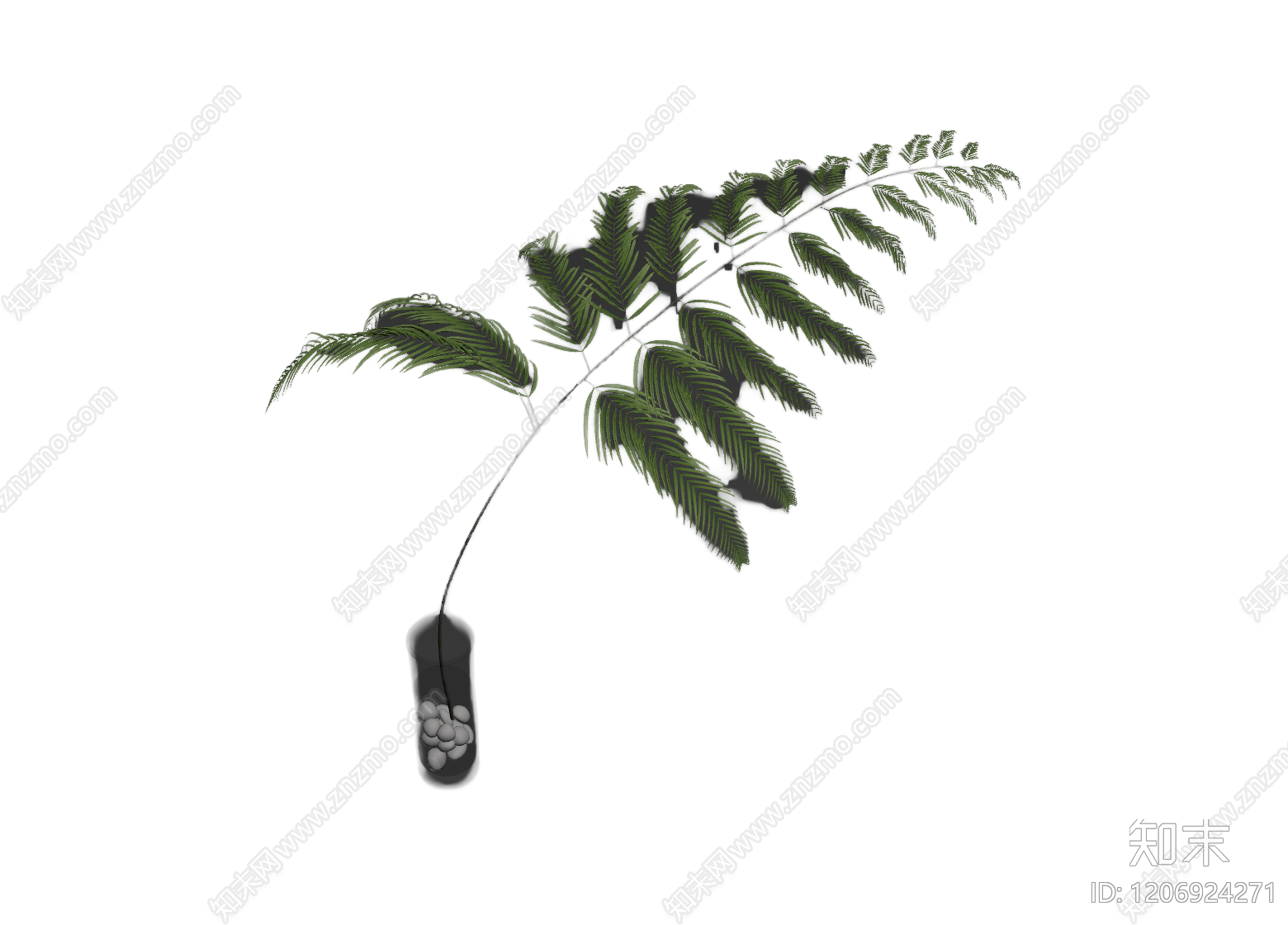 盆栽蕨类植物3D模型下载【ID:1206924271】