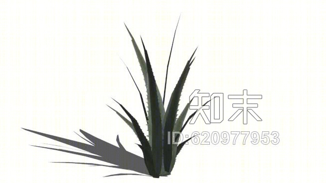 芦荟SU模型下载【ID:620977953】