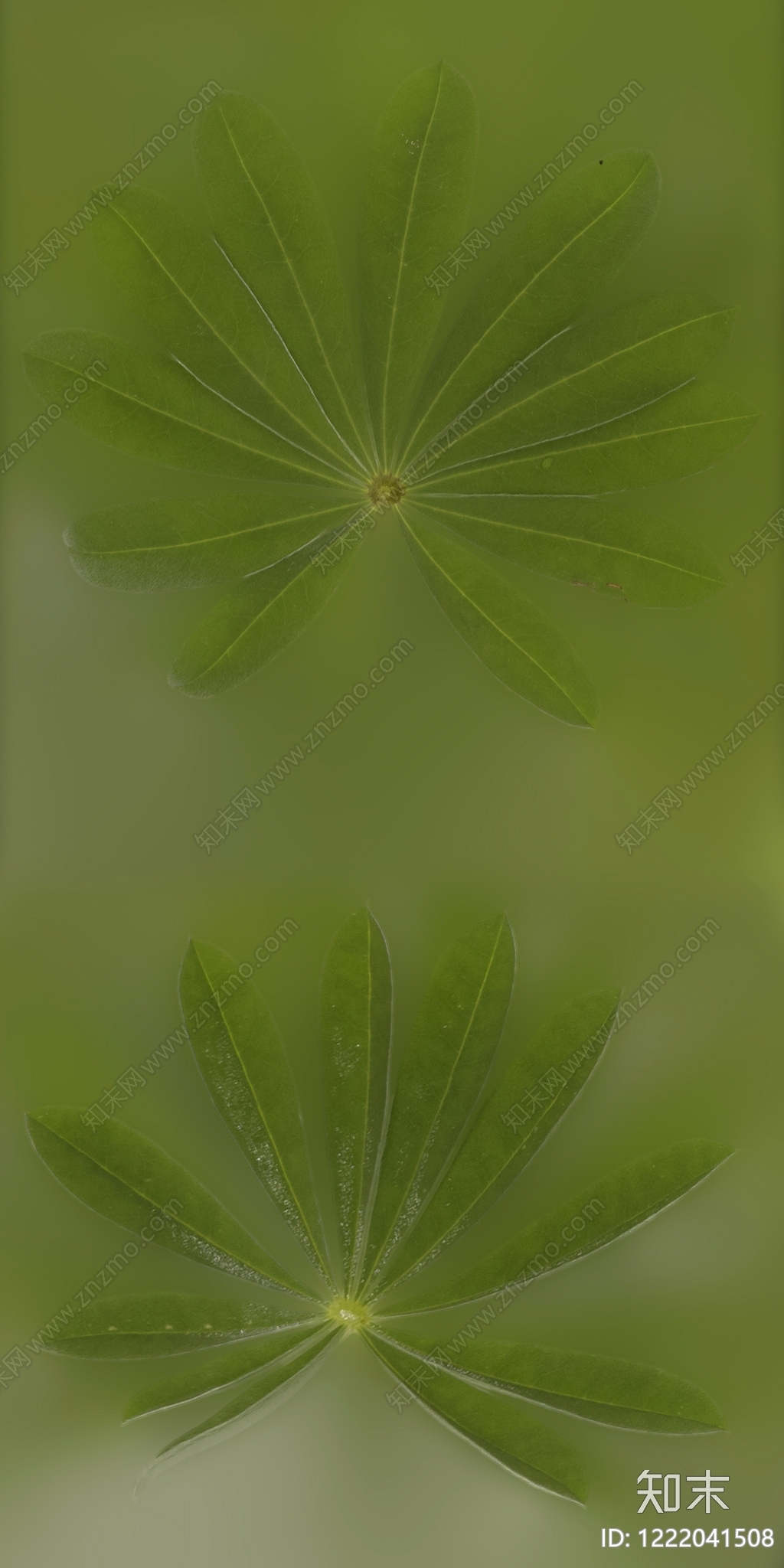 植物壁纸高清贴图材质