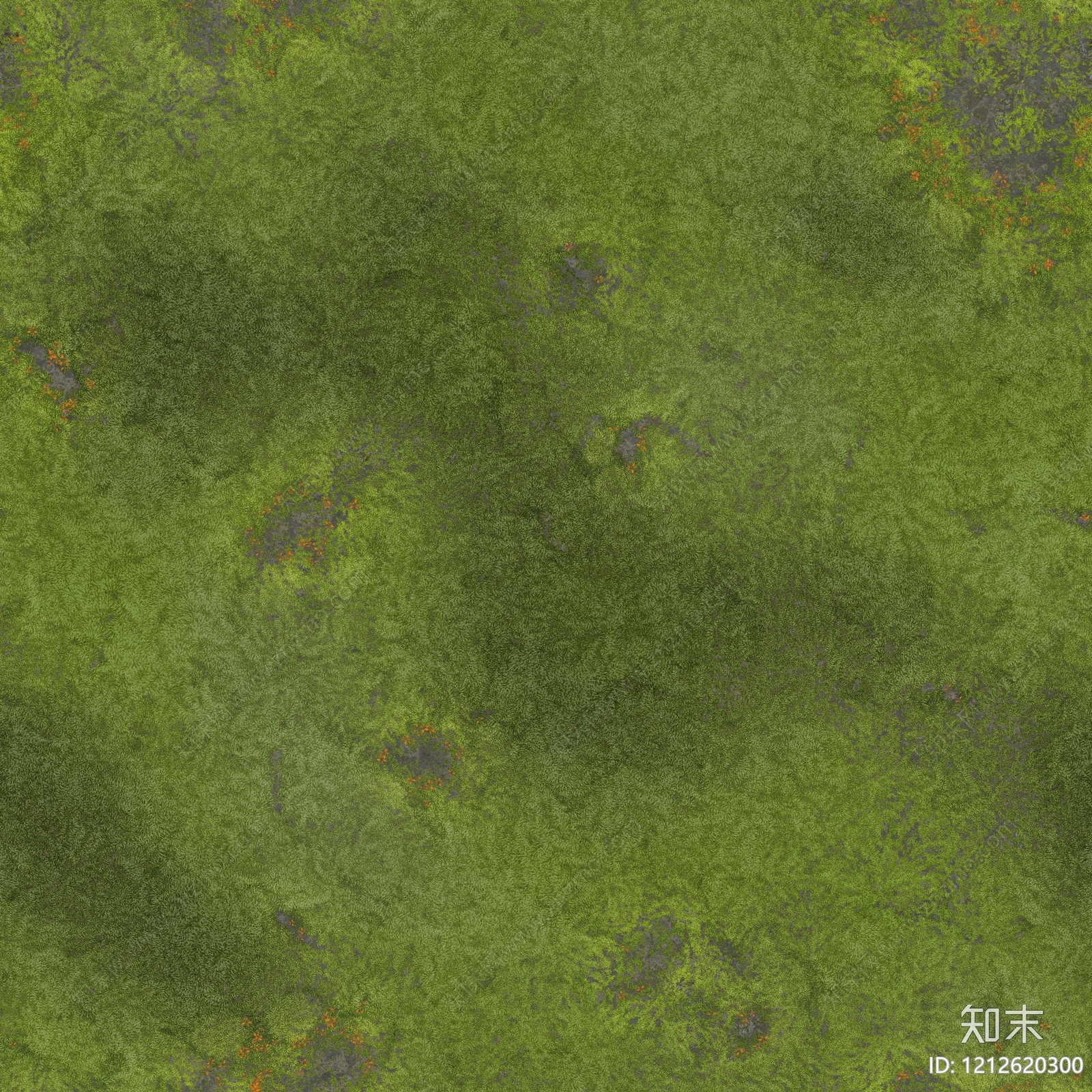 苔藓纹理贴图下载【ID:1212620300】