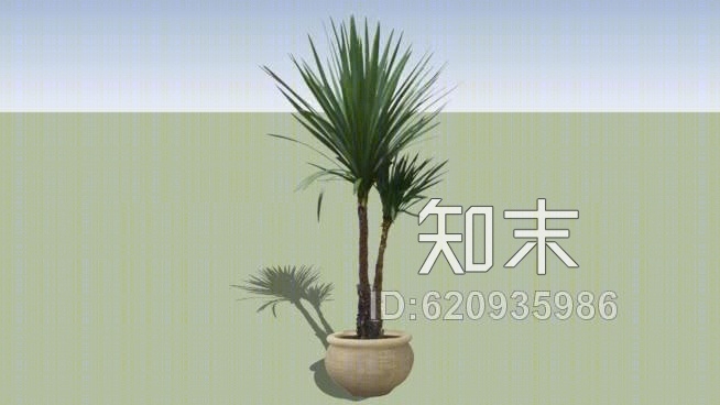 龙血树植物平面SU模型下载【ID:620935986】