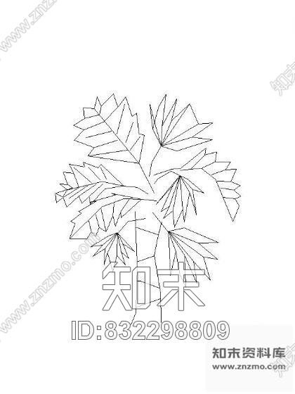 图块/节点各种树立面图块大全施工图下载【ID:832298809】