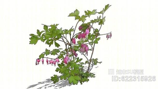 刺五加血SU模型下载【ID:622315926】