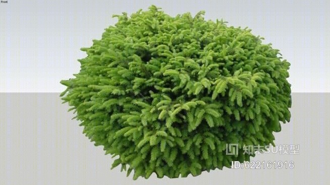 矮云杉鸟巢SU模型下载【ID:622161916】