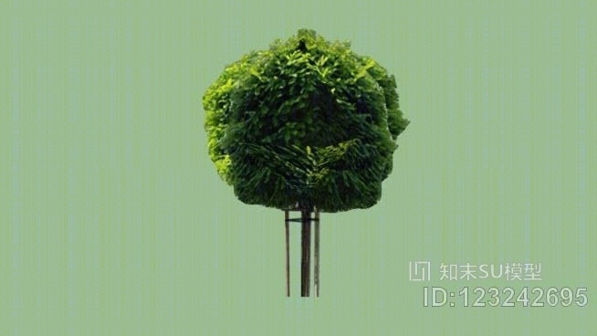 小树01SU模型下载【ID:123242695】