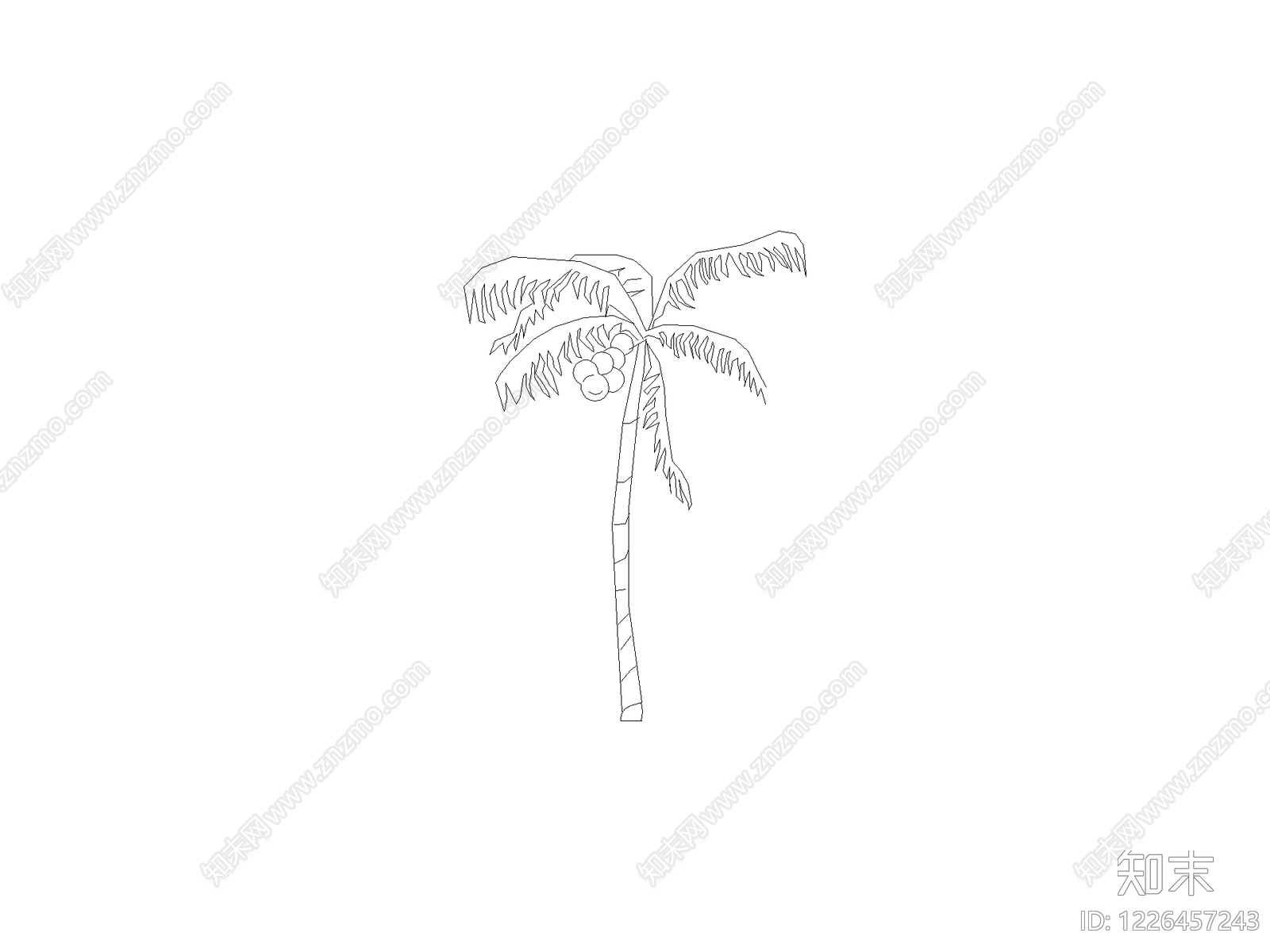 乔木种植CAD图纸