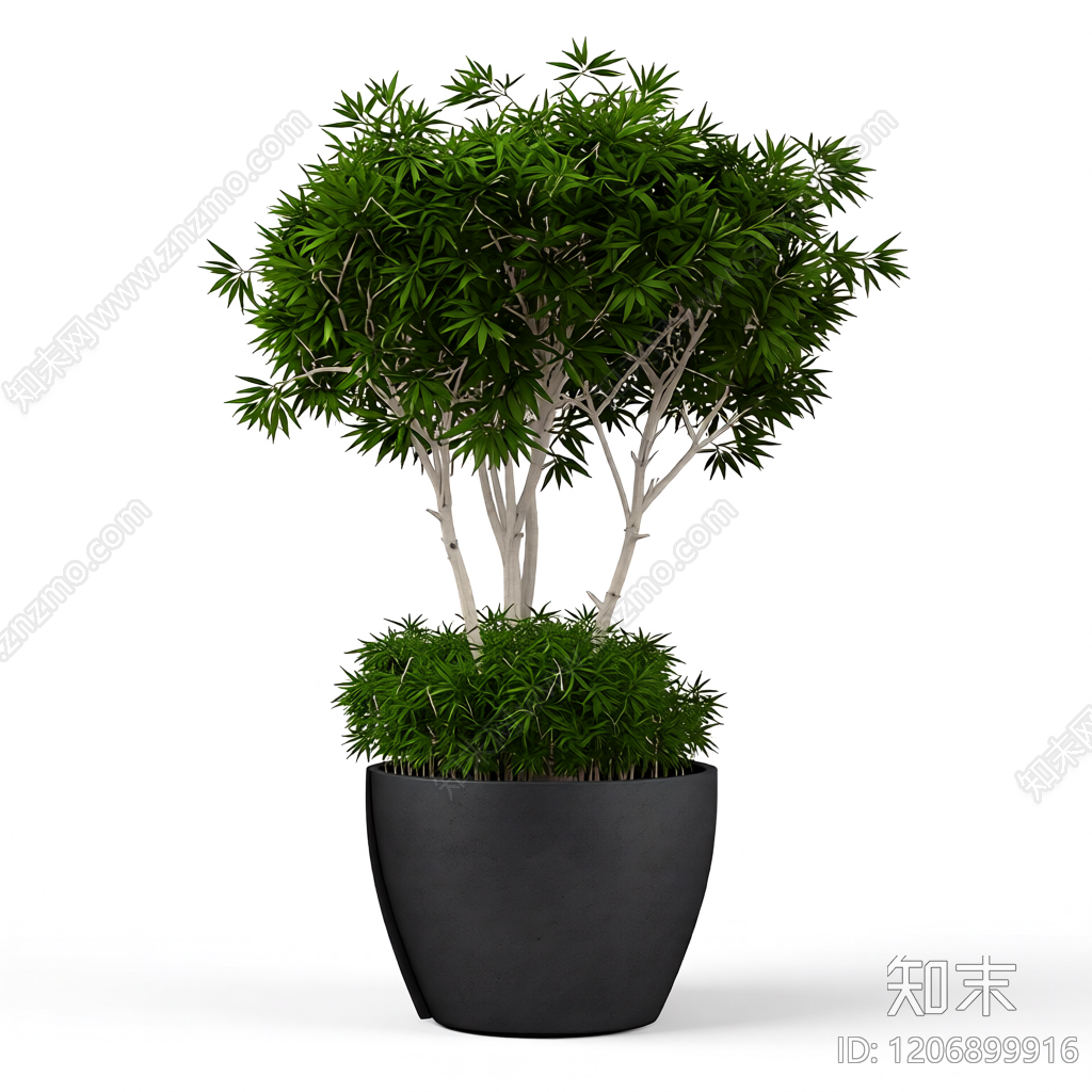 盆栽植物装饰3D模型下载【ID:1206899916】