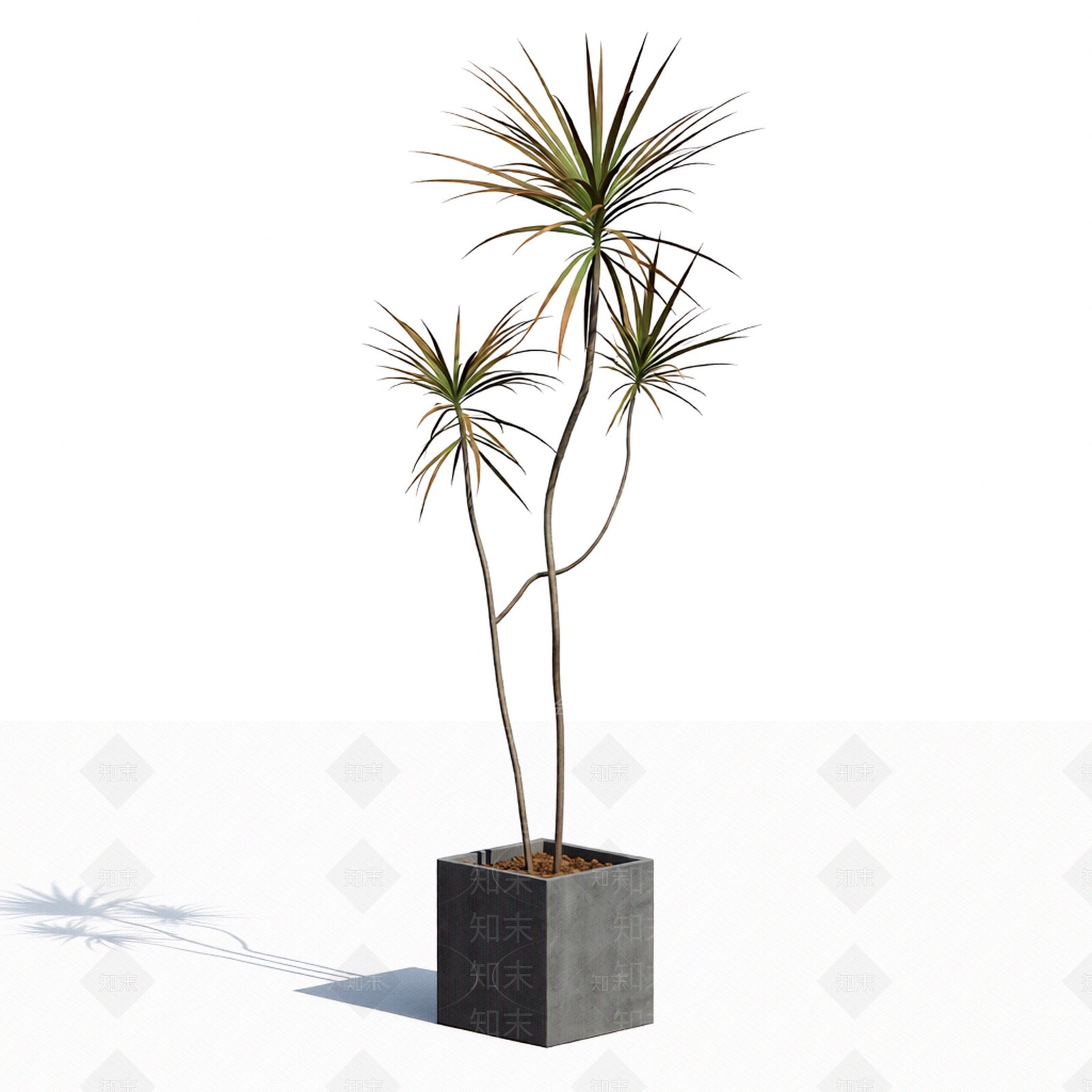 带盆多肉植物模型3D模型下载【ID:1206187245】