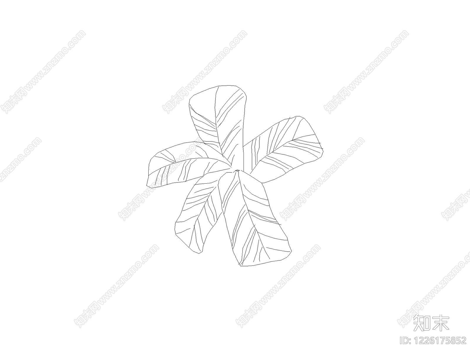 种植物平面图例cad施工图下载【ID:1226175852】