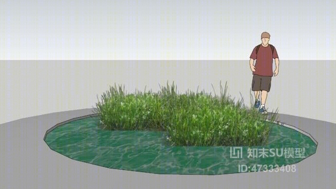 saggitaria禾本科SU模型下载【ID:47333408】