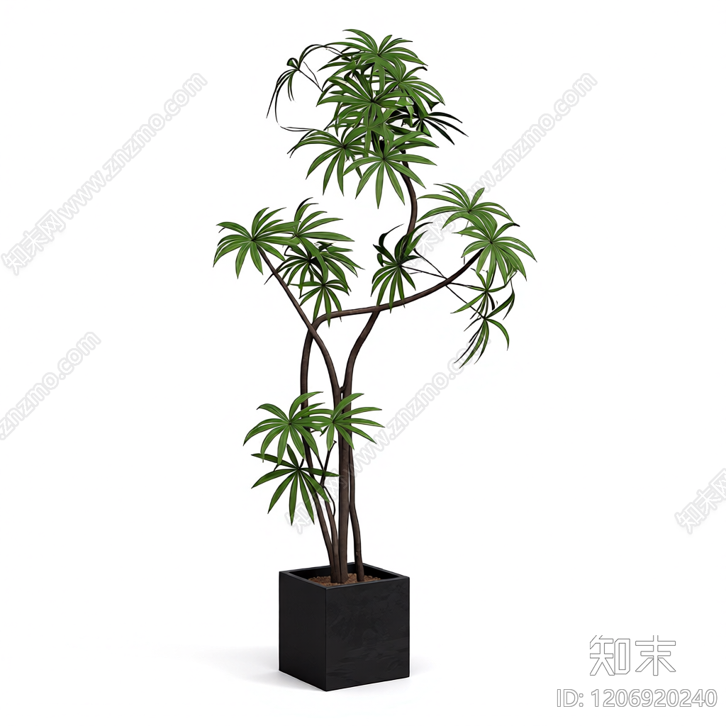 盆栽植物装饰3D模型下载【ID:1206920240】