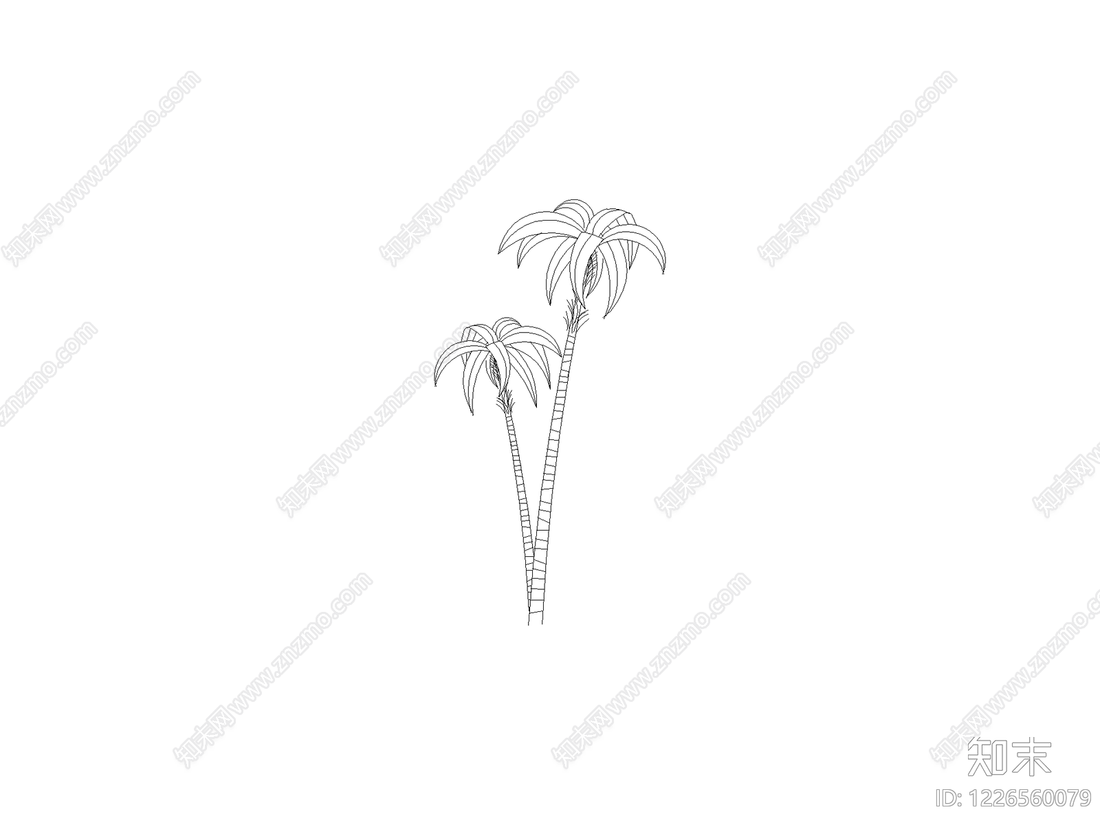 现代乔木种植CAD图纸