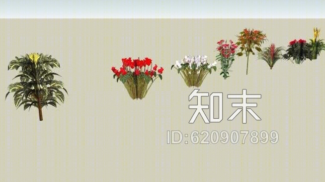 植物外观SU模型下载【ID:620907899】