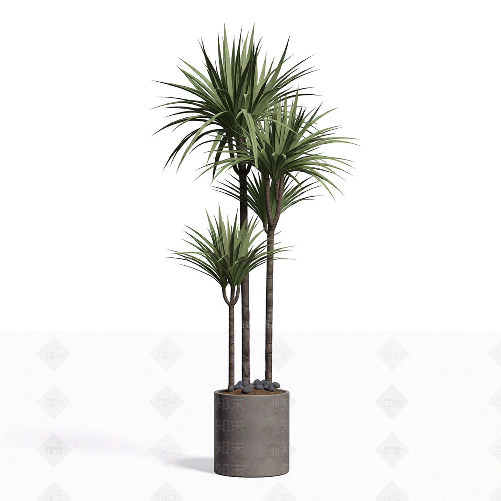 带盆完整盆栽植物3D模型下载【ID:1206201789】