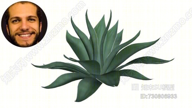 龙舌兰的茎drag茫oSU模型下载【ID:730806933】