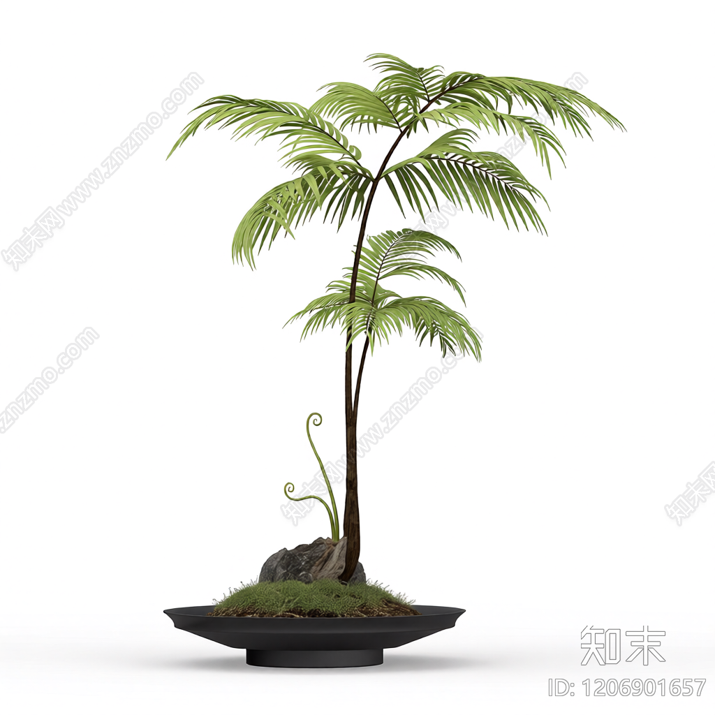 盆栽蕨类植物装饰3D模型下载【ID:1206901657】