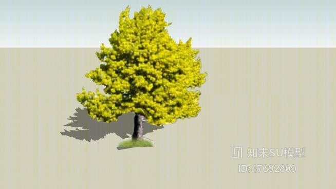 树SU模型下载【ID:47692809】