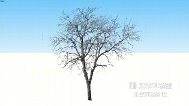树SU模型下载【ID:118160697】