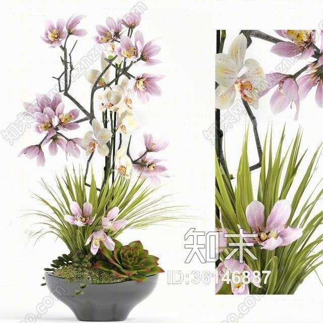 现代兰花花枝多肉盆栽组合3D模型下载【ID:36146887】