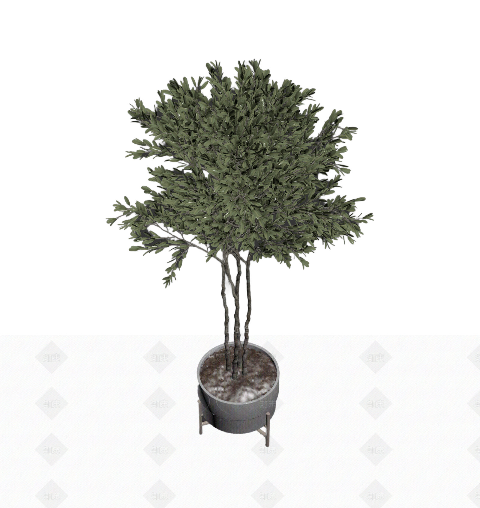 带盆栽的室内植物3D模型下载【ID:1206187714】