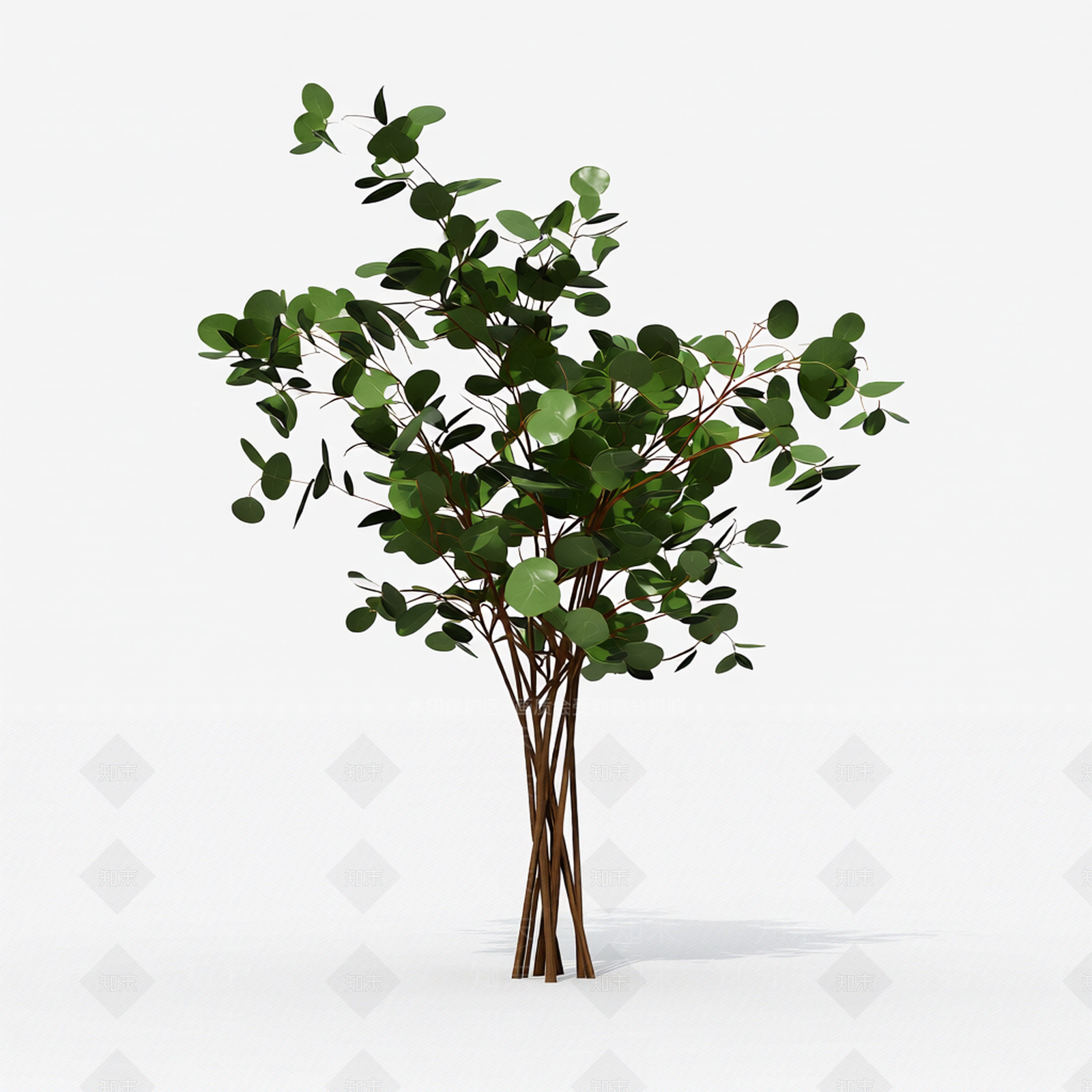 圆形叶植物模型3D模型下载【ID:1206192185】