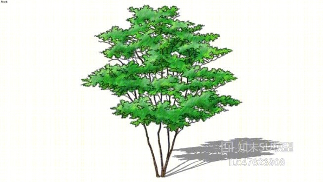 树SU模型下载【ID:47623908】
