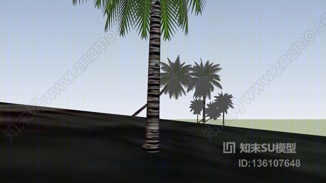 椰子树SU模型下载【ID:136107648】
