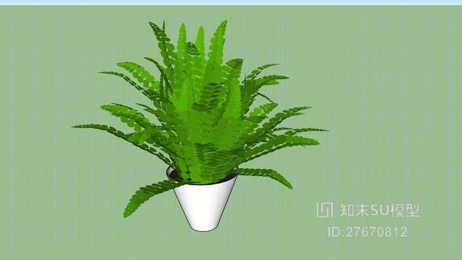 盆栽SU模型下载【ID:27670812】