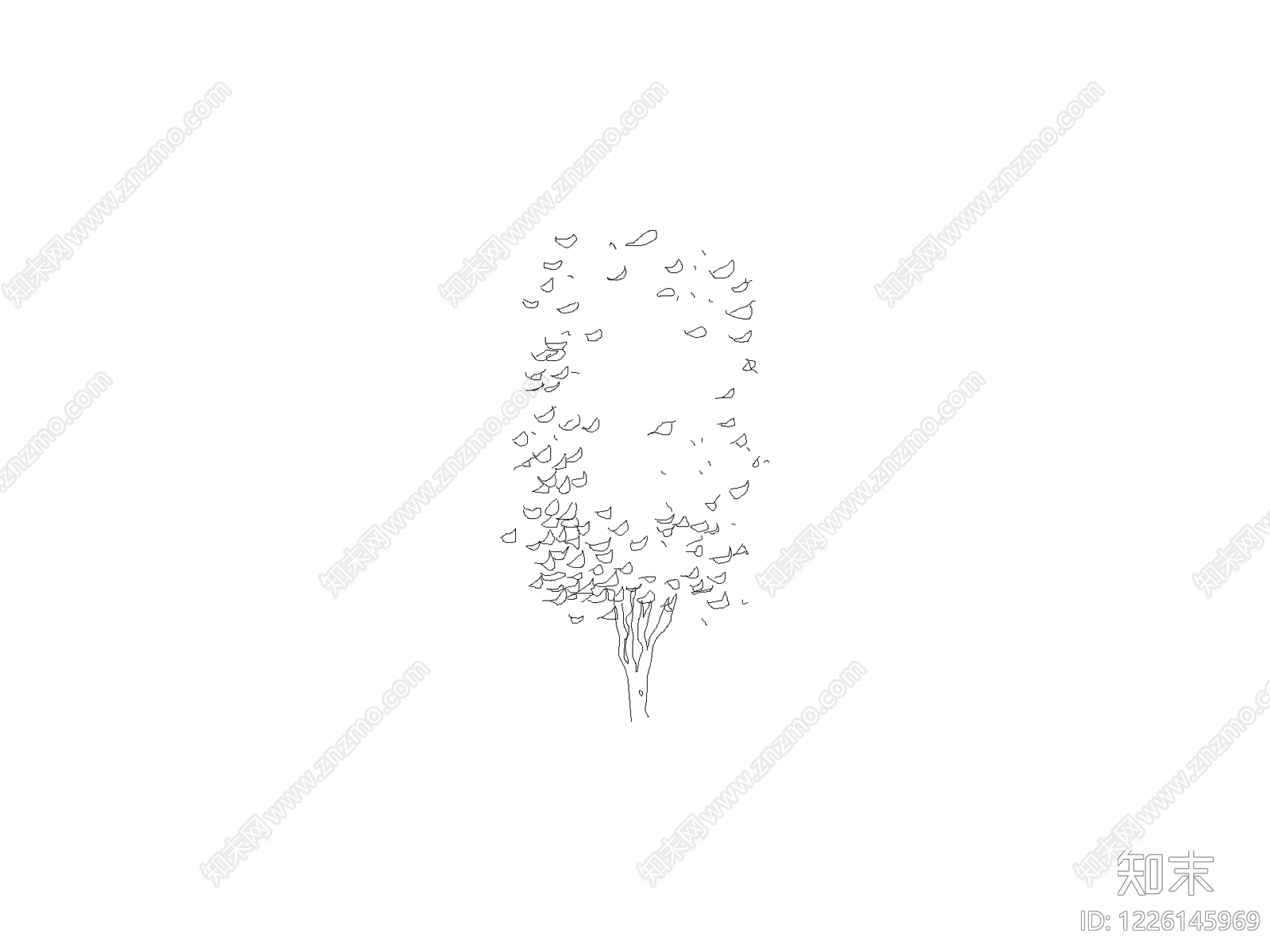 乔木种植cad施工图下载【ID:1226145969】