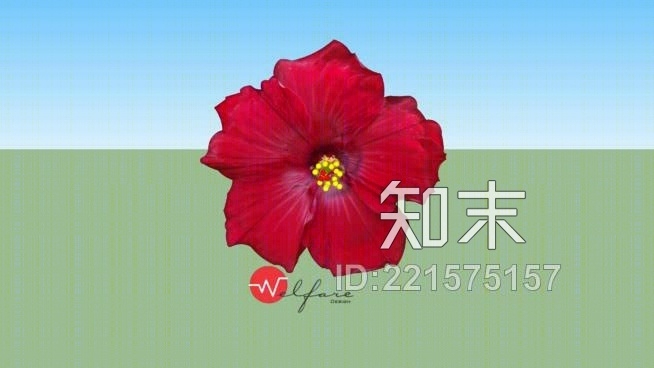 芙蓉花SU模型下载【ID:221575157】