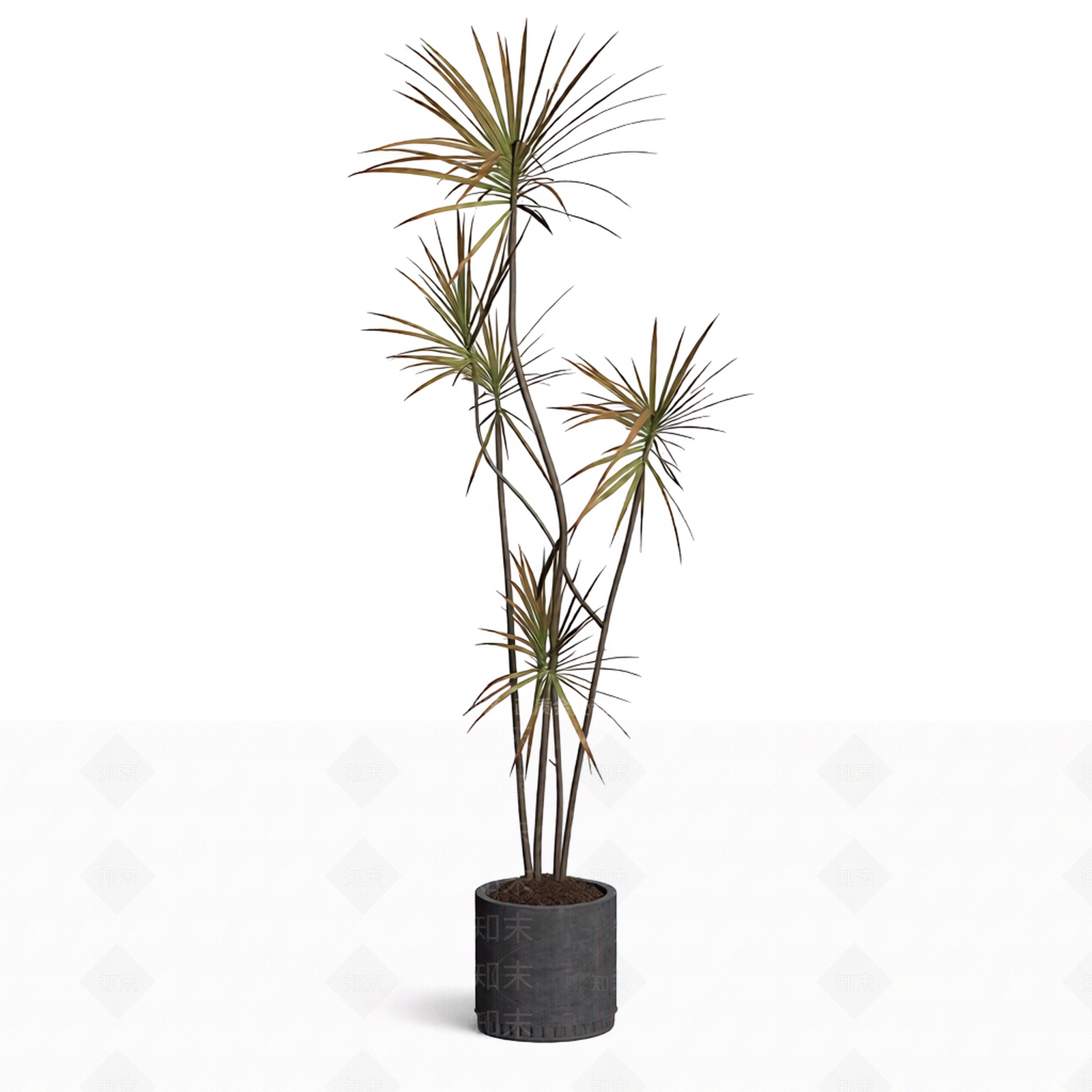 带盆多肉植物模型3D模型下载【ID:1206191787】