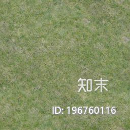 草坪贴图下载【ID:10029377】