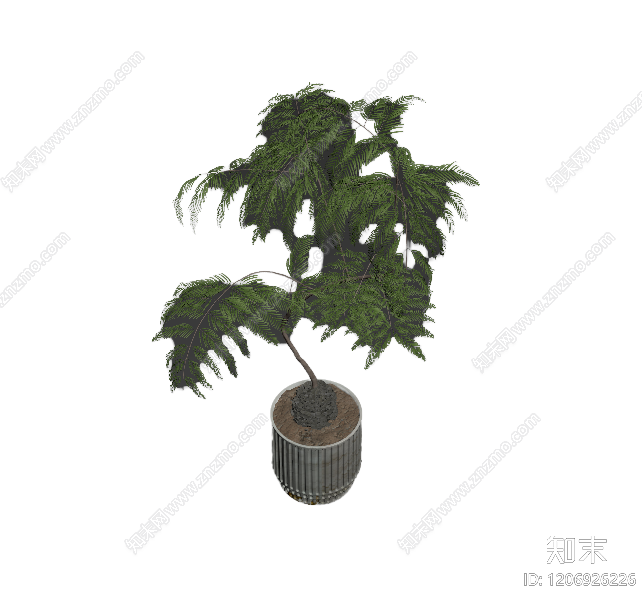 盆栽植物带花盆3D模型下载【ID:1206926226】