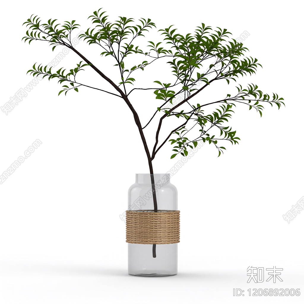 盆栽植物装饰3D模型下载【ID:1206892006】