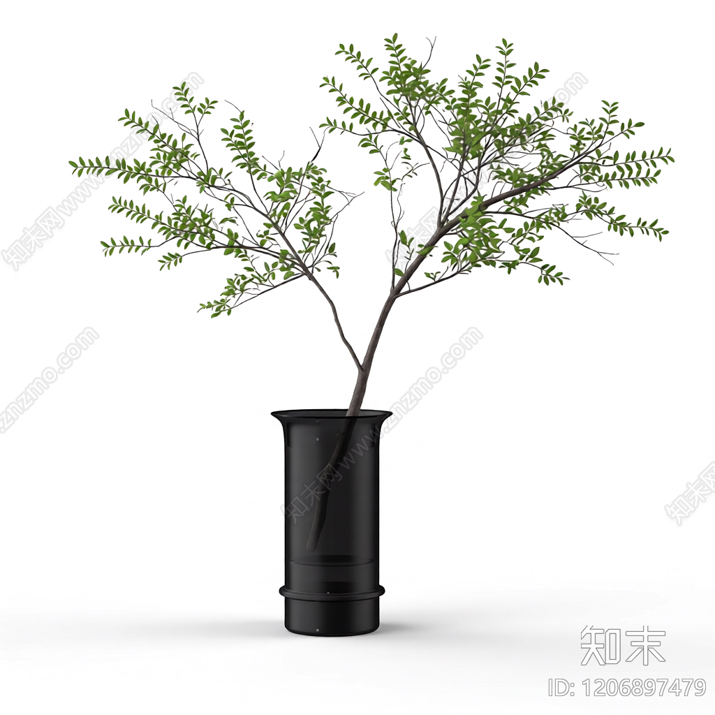 盆栽植物组合3D模型下载【ID:1206897479】