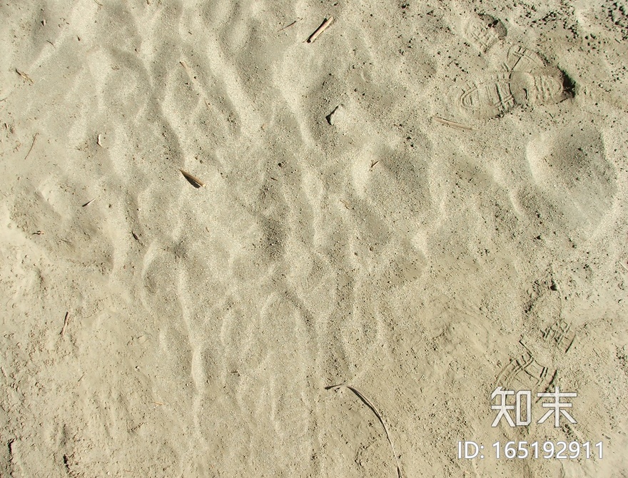 沙滩海滩贴图下载【ID:165192911】