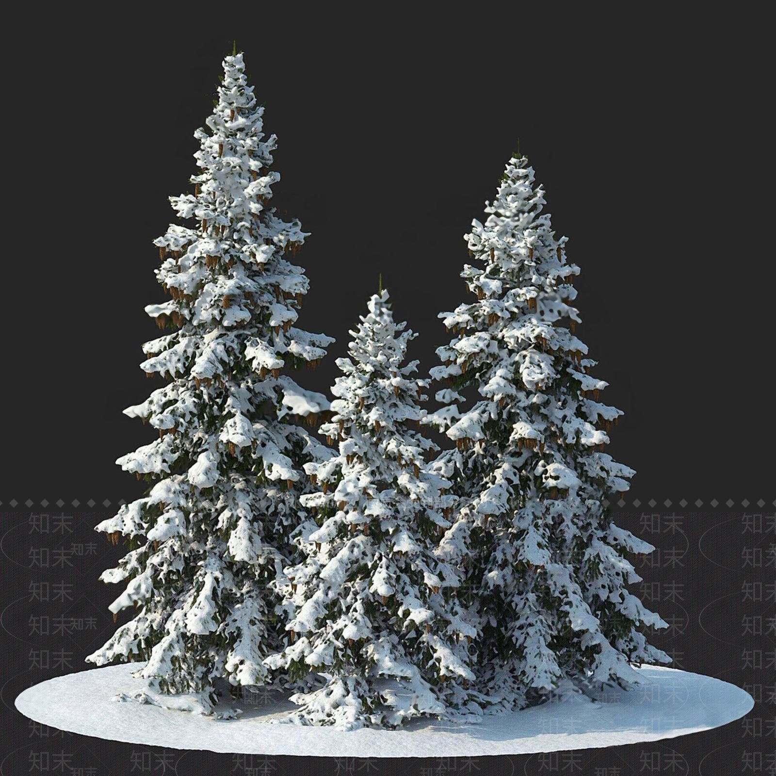 云杉3D模型下载【ID:1126933116】